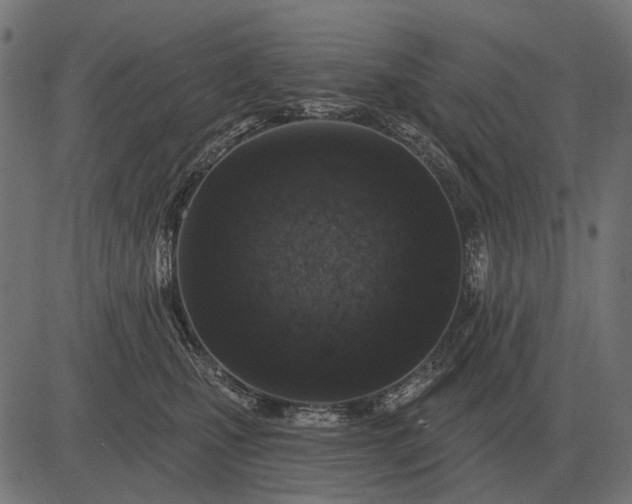 X0000082730471200702091842