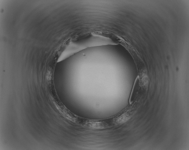 X0000082730472200702091842