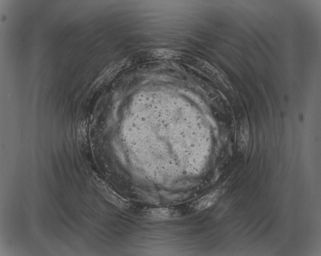 X0000082730473200702091842