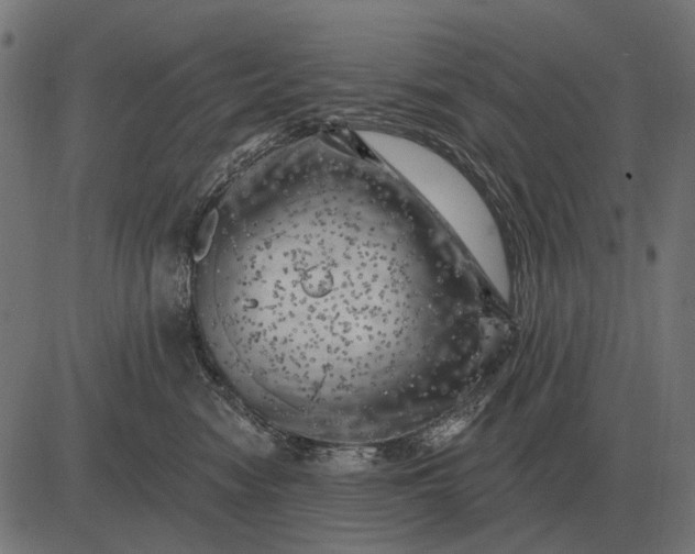 X0000082730474200702091842