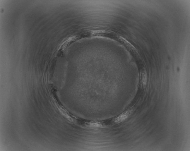 X0000082730475200702091842