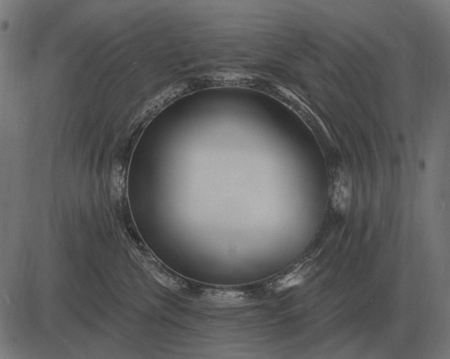 X0000082730476200702091842