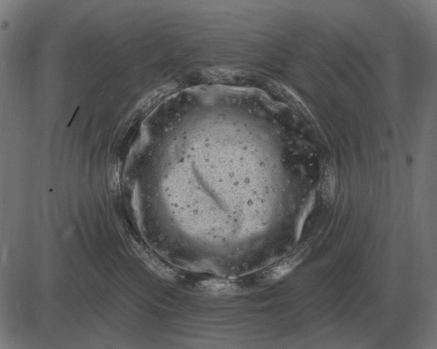 X0000082730477200702091842