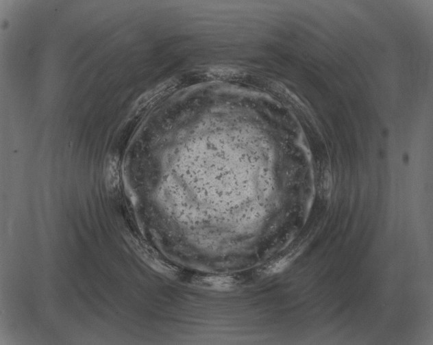 X0000082730478200702091842