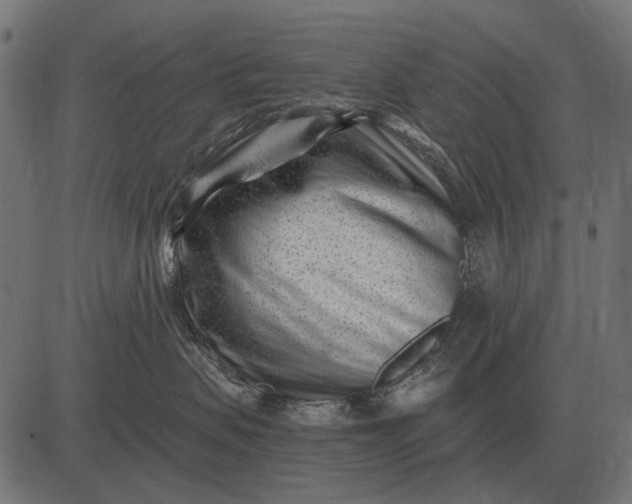 X0000082730479200702091842