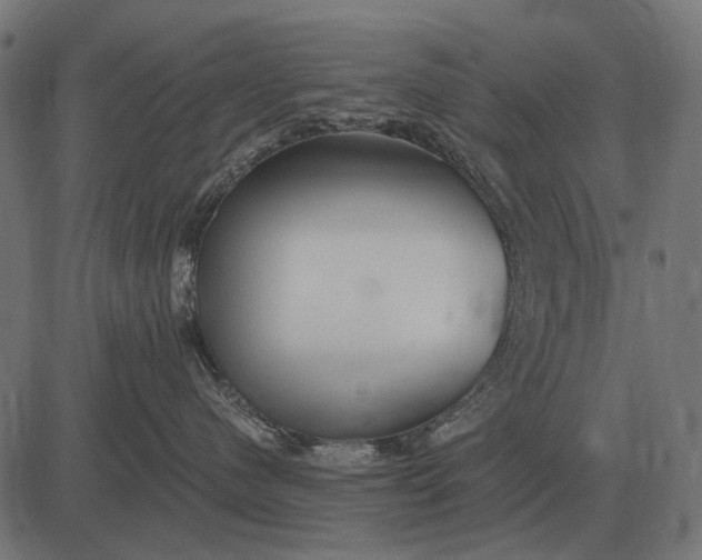 X0000082730480200702091842