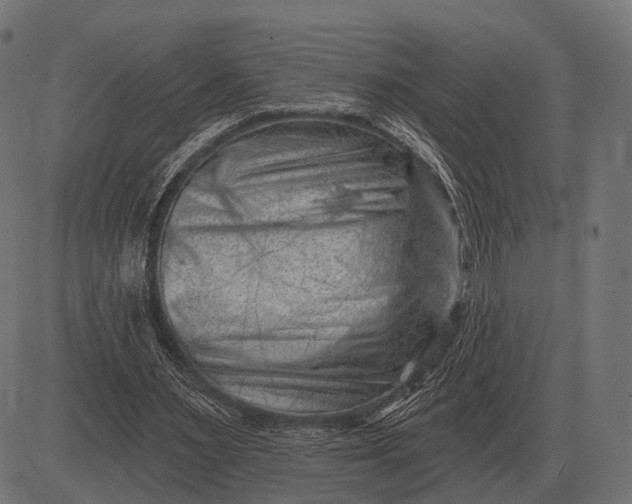 X0000082730483200702091841