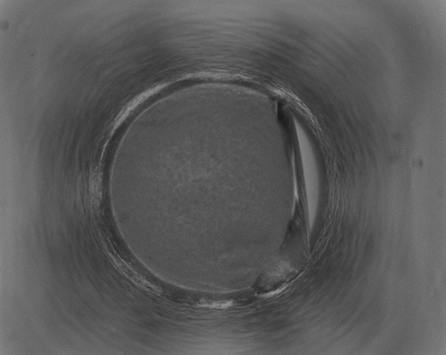 X0000082730484200702091841