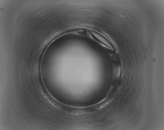 X0000082730485200702091841