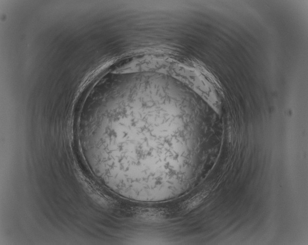 X0000082730486200702091841