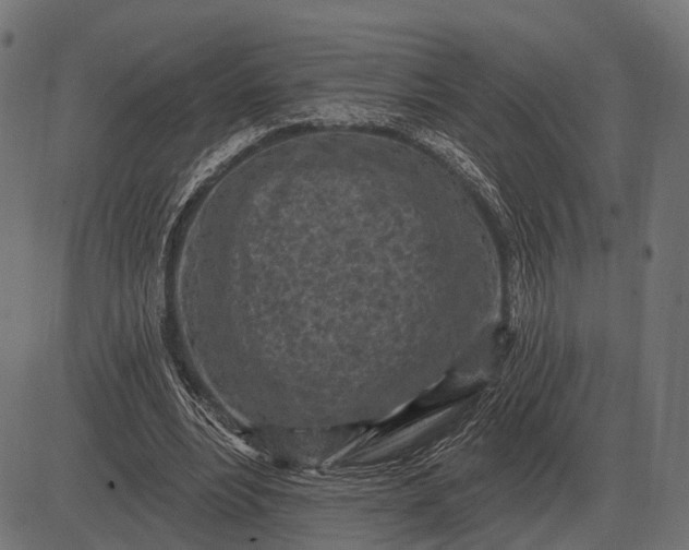 X0000082730488200702091841