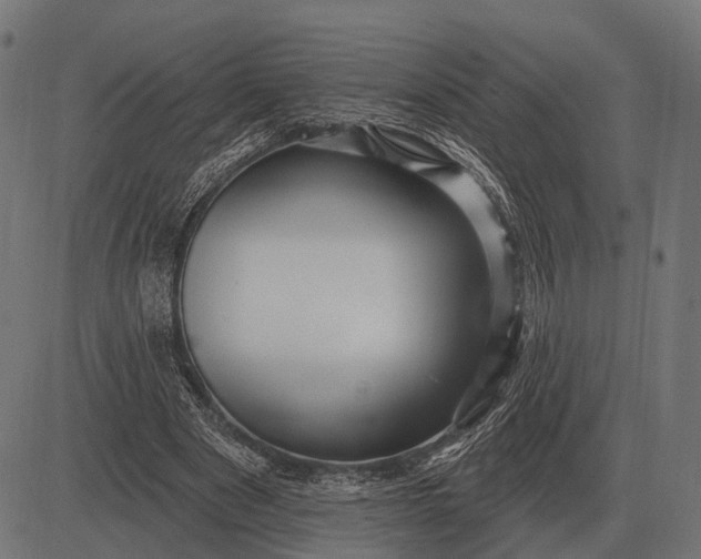 X0000082730489200702091841