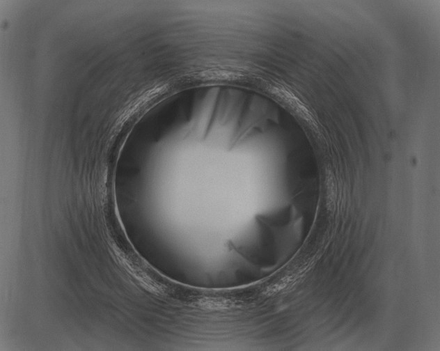 X0000082730490200702091841