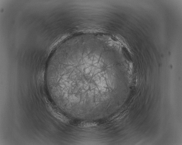 X0000082730491200702091841