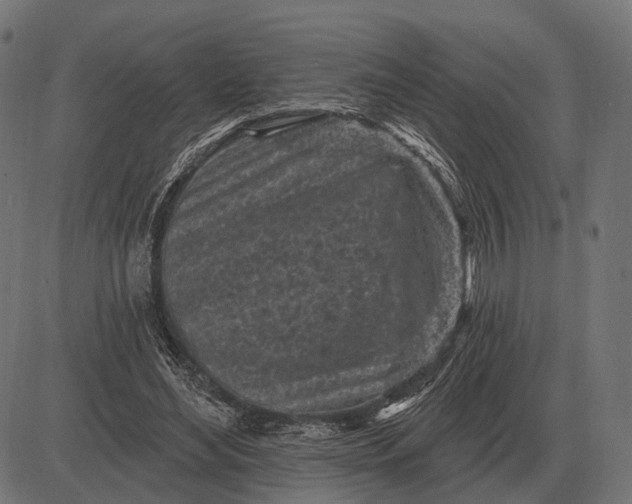 X0000082730492200702091841