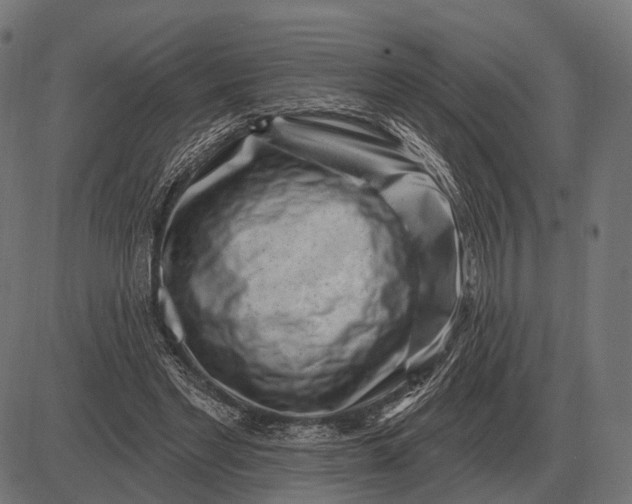 X0000082730493200702091841