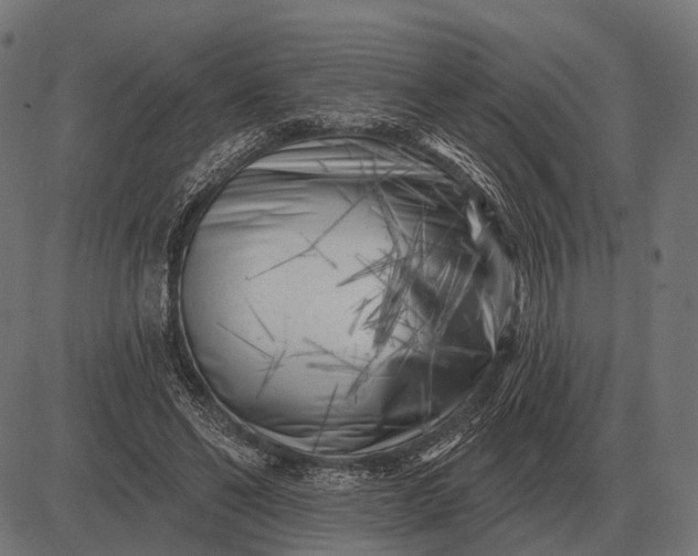 X0000082730494200702091841