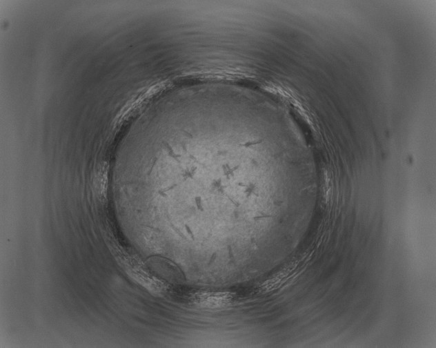 X0000082730495200702091841