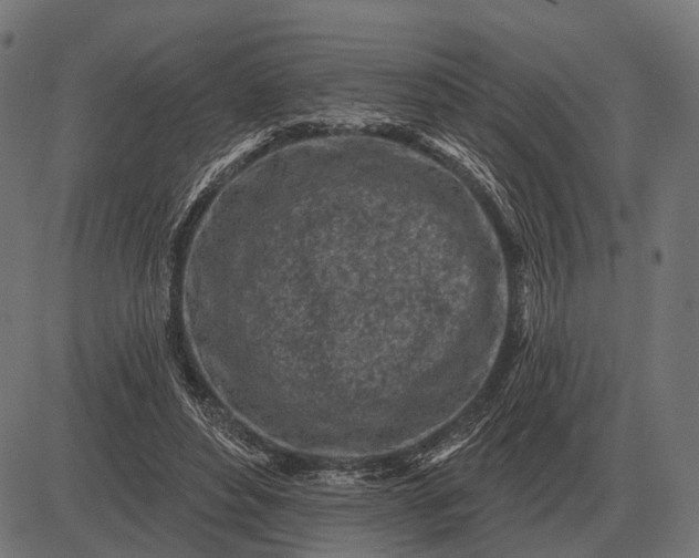 X0000082730496200702091841