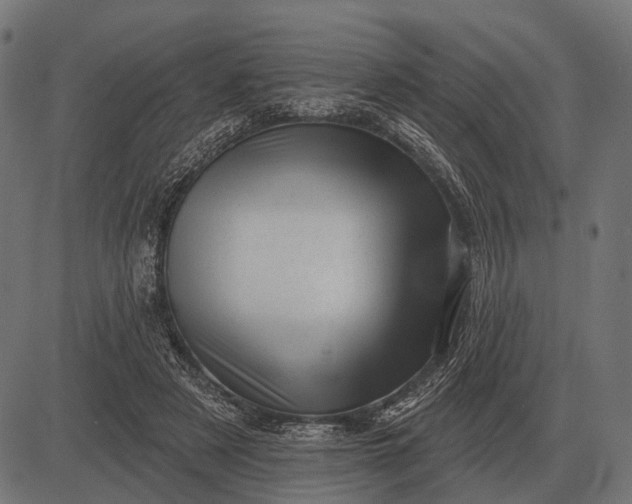 X0000082730497200702091841