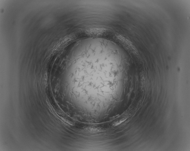 X0000082730498200702091841