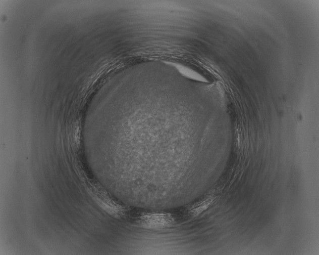 X0000082730499200702091841