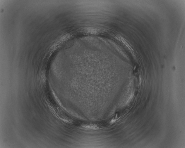 X0000082730500200702091841