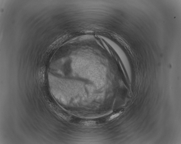 X0000082730501200702091841