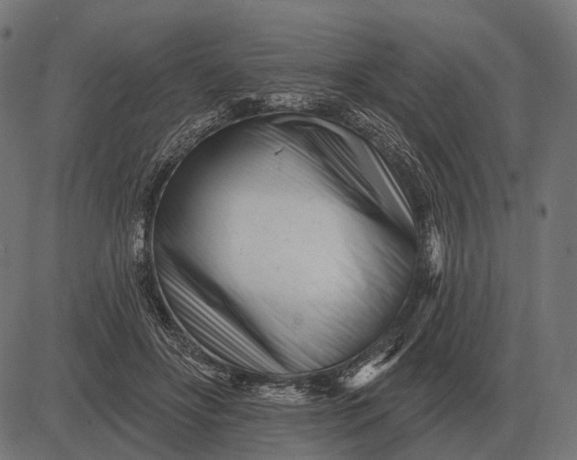 X0000082730502200702091841