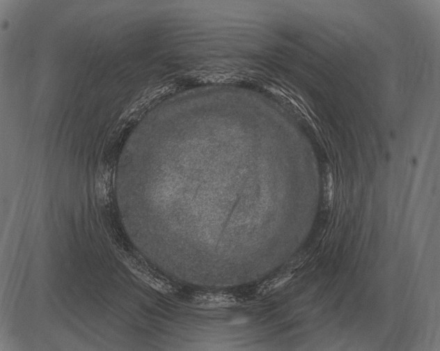 X0000082730503200702091841