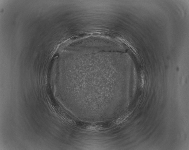 X0000082730504200702091841