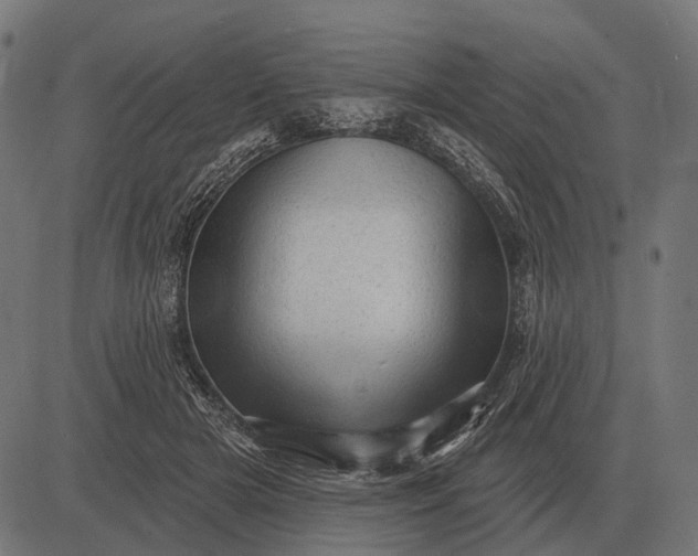 X0000082730505200702091841