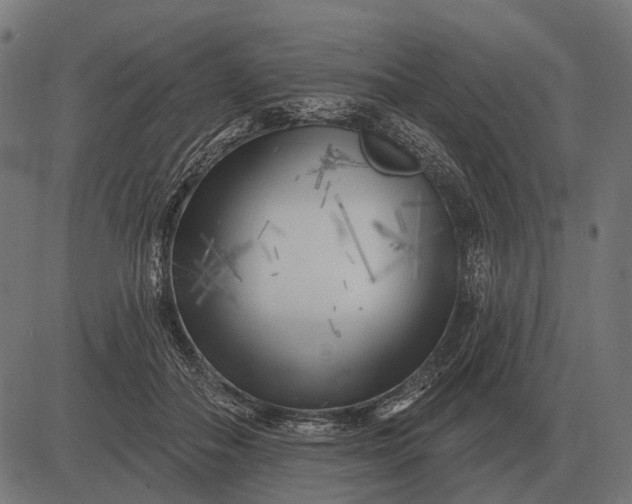 X0000082730506200702091841