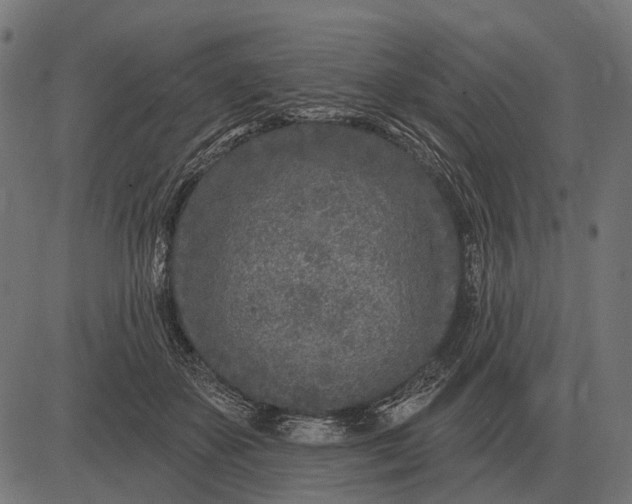 X0000082730507200702091841