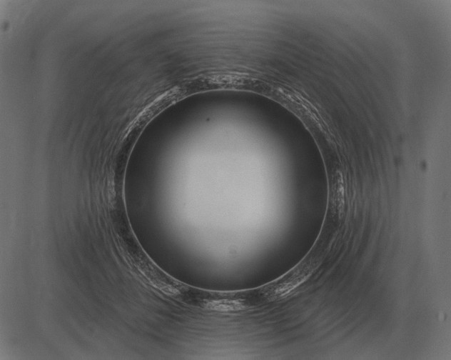 X0000082730508200702091841