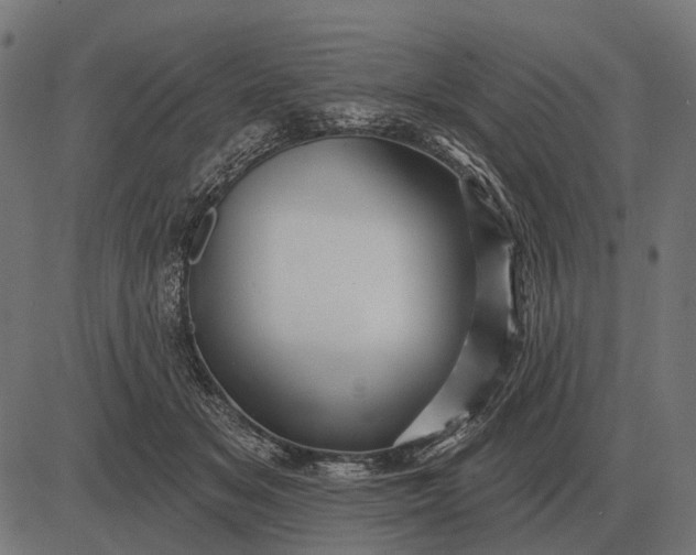 X0000082730509200702091841