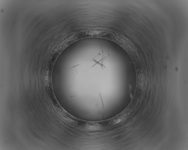 X0000082730510200702091841