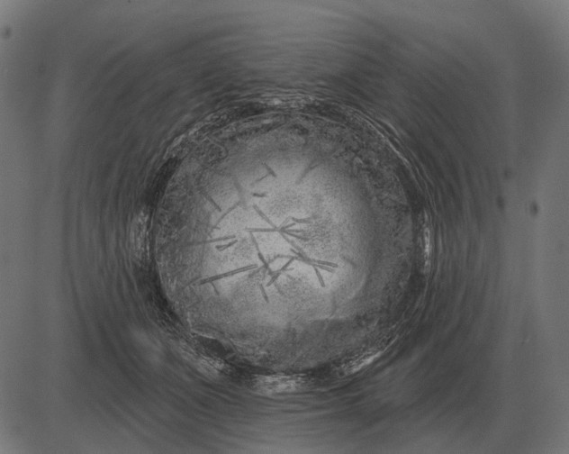 X0000082730511200702091841