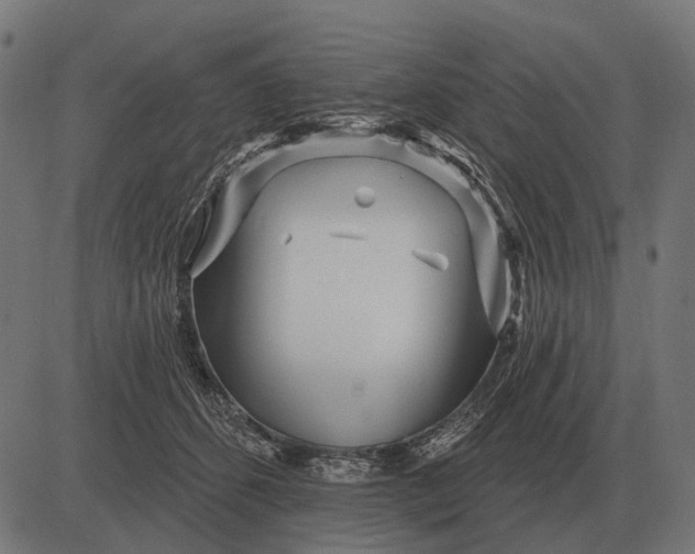 X0000082730512200702091841