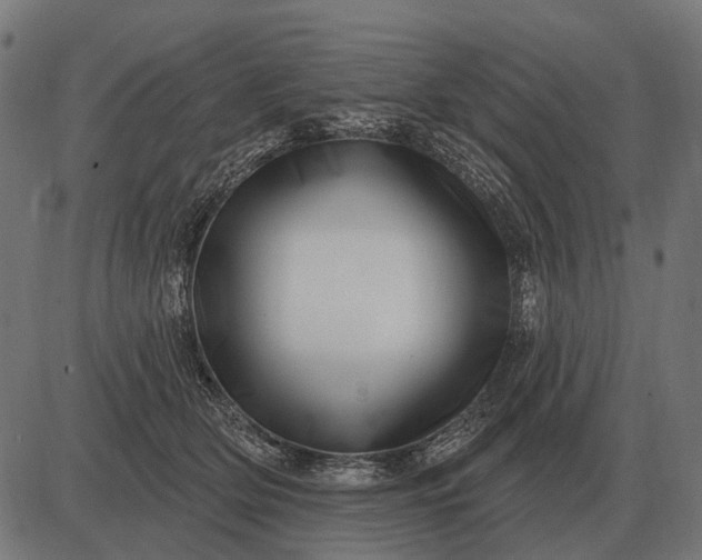 X0000082730514200702091841