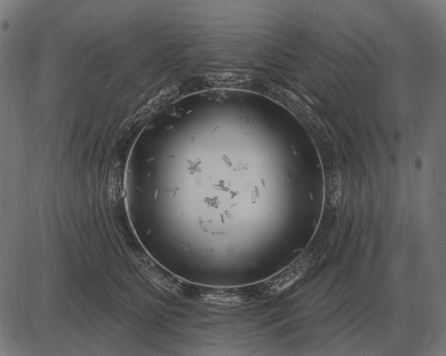 X0000082730515200702091841