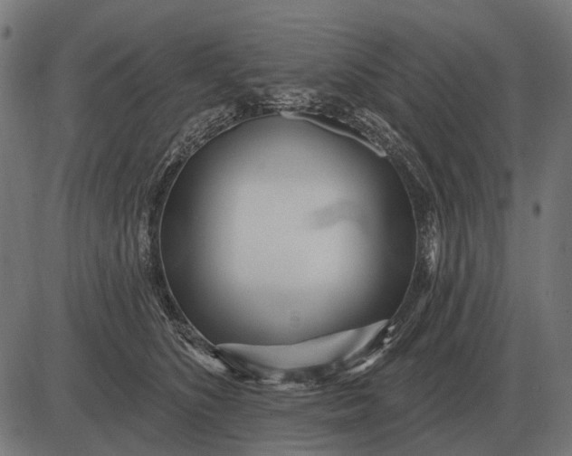 X0000082730516200702091841