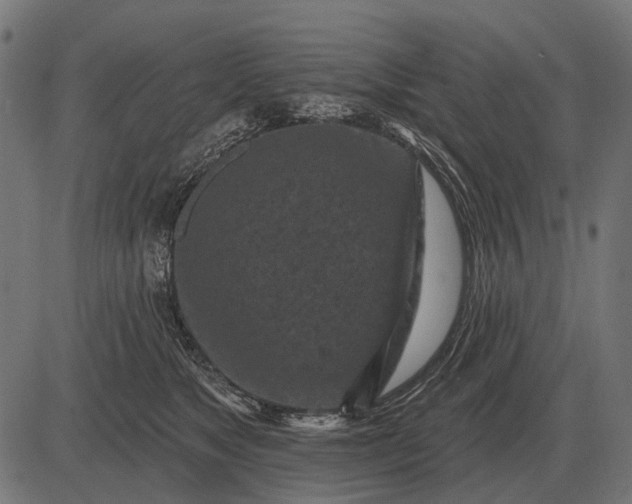 X0000082730517200702091841