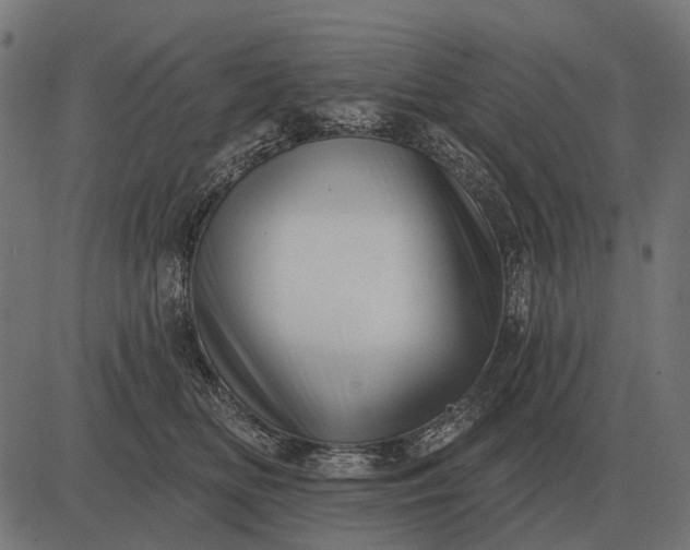 X0000082730518200702091841