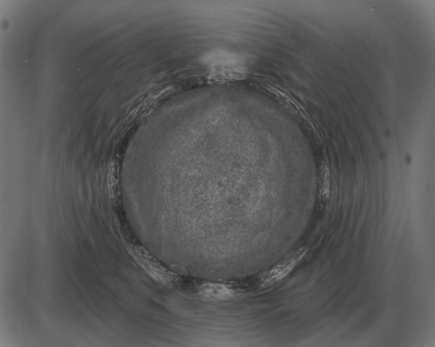 X0000082730519200702091841