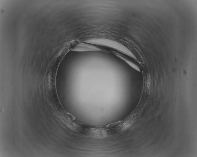 X0000082730520200702091841