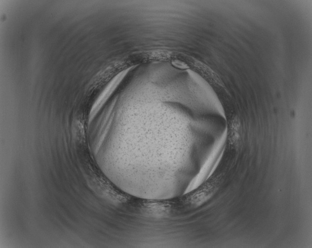 X0000082730522200702091841