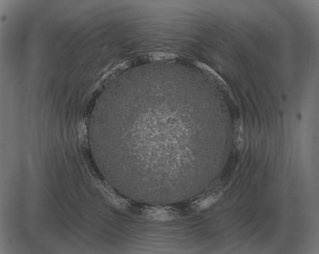 X0000082730523200702091841