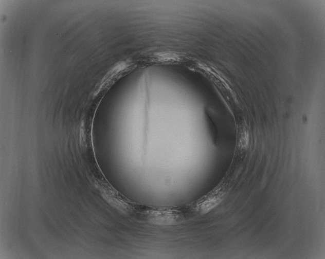 X0000082730524200702091841