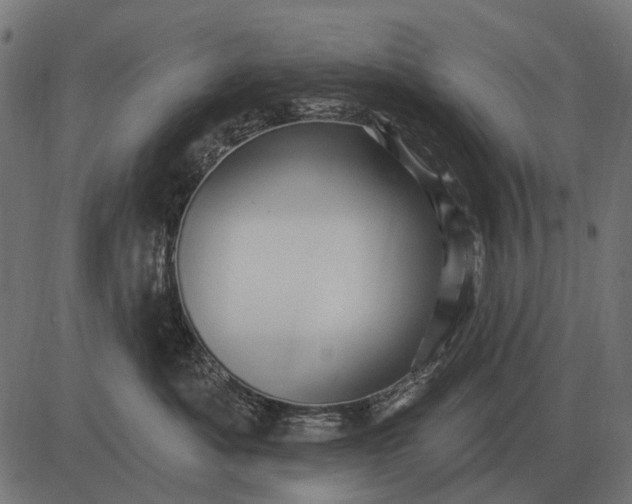 X0000082730525200702091841